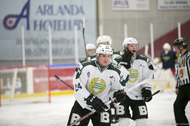 20140105 - Arlanda Wings vs Hammarby Hockey